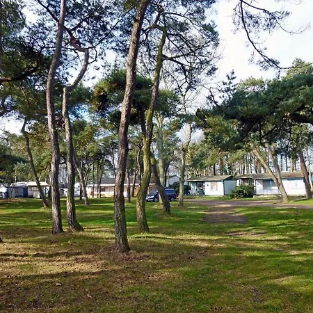 Wallocha Comfortable Hébergement de vacances