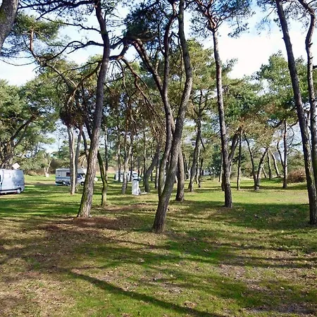 Hébergement de vacances Wallocha Comfortable *